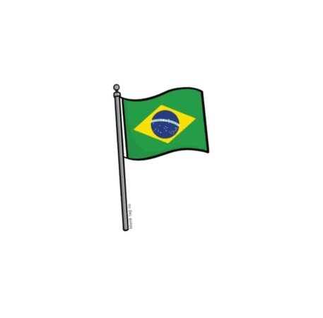 Brazilian flag 🇧🇷 ♥