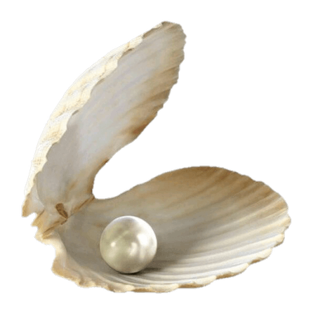 clam pearl tan filler