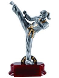 karate awards - Google Search