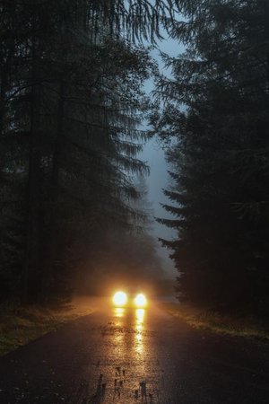 rain car aesthetic forest
