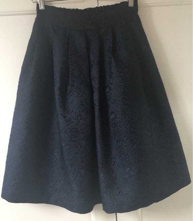 Navy Full Skirt