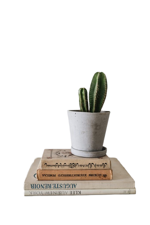 @darkcalista cactus plant books png