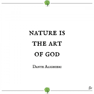 Nature is the art of god dante alighieri | Spirit Button