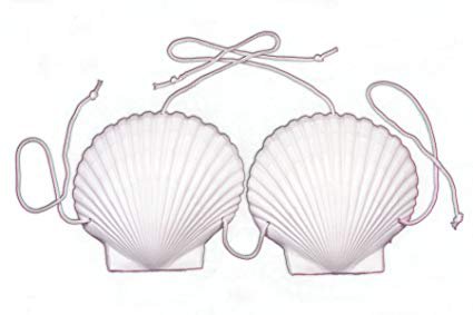 white seashells mermaid - Google Search