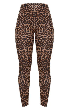 Brown Leopard Print Leggings | PrettyLittleThing USA