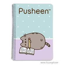 cat notebook