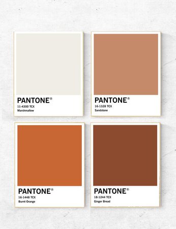 Pantone wall art set Pantone Boho colors Pantone brown | Etsy
