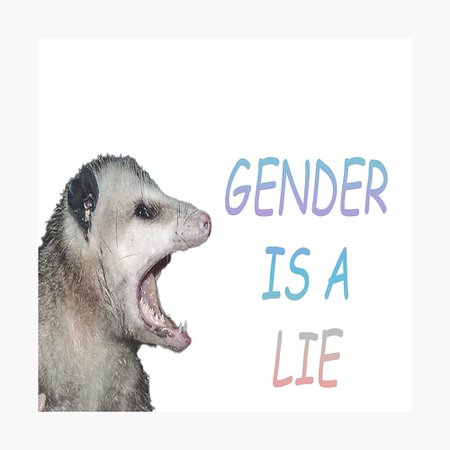 gender are lie - Pesquisa Google