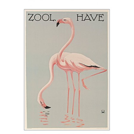 Zoo plakat med flamingoer | Zoologiskhave plakat
