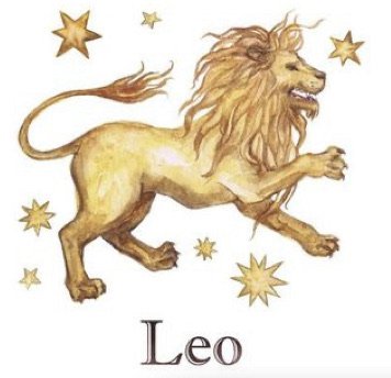 Leo ♌️