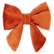 Pumpkin Velvet Lady Bow Collar – The Foggy Dog
