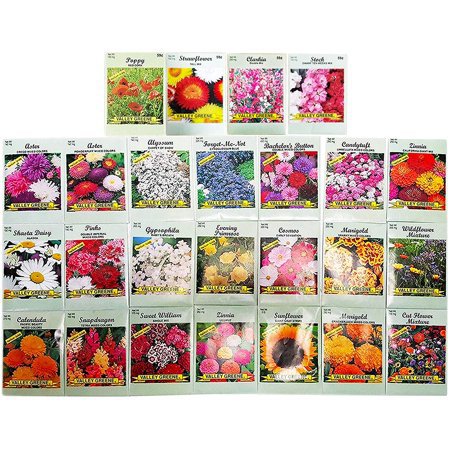 Set of 25 Deluxe Variety Flower Seed Packets - Walmart.com - Walmart.com