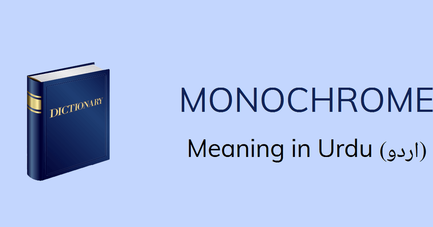 monochrome meaning - Google Search