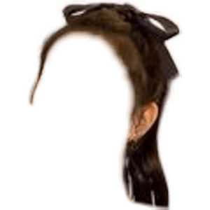 BROWN HAIR BOW PONYTAIL PNG