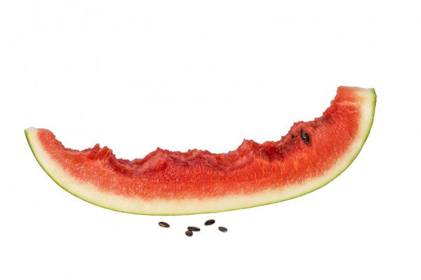 bitten watermelon slice