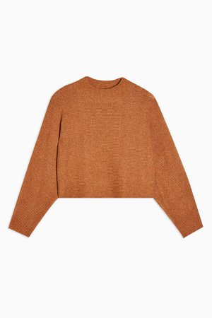 Camel Ribbed Cropped Knitted Sweater | Topshop