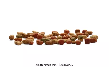 c10+ Thousand Canned Cat Food Isolated Royalty-Free Images, Stock Photos & Pictures | Shutterstock