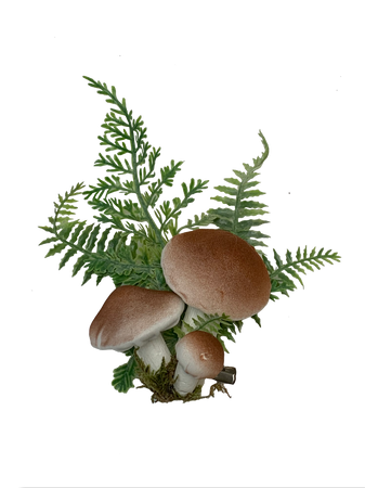 rebbie_irl’s mushroom fern moss Fairycore Goblincore hair clip