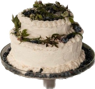 rustic nature cottage wedding cake