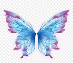 blue purple fairy butterfly wings