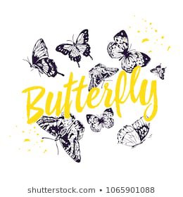 word butterfly - Google Search