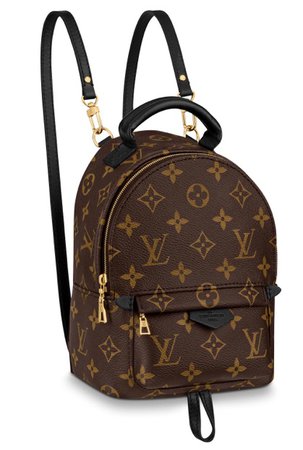 Louis Vuitton book bag