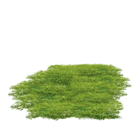 grass landscape Sticker by Sally Loves Yeshua Jesus