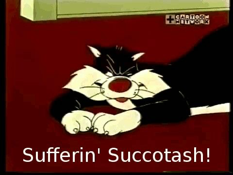 Sylvester The Cat Looney Toons art animation funny cat