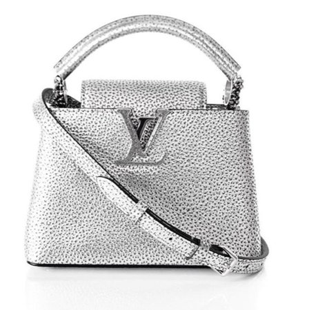 Louis Vuitton capucine bag