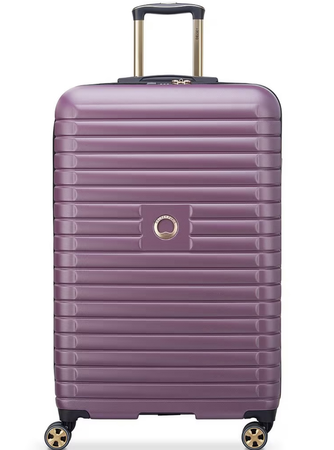 Delsey Paris suitcase