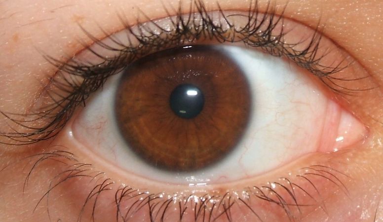 Brown eyes makeup tips: 8 Makeup tips for Brown Eyes