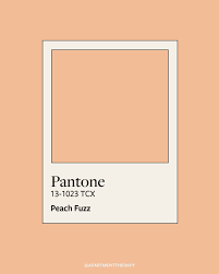 pantone color of the year 2024 - Google Search