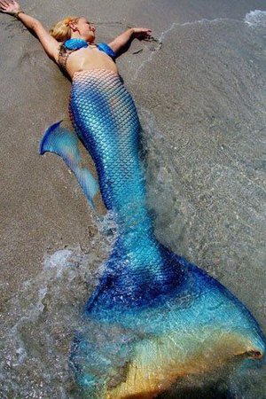mermaid tails real - Google Search