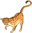 Cat Pixel by HypocriticOaf on DeviantArt