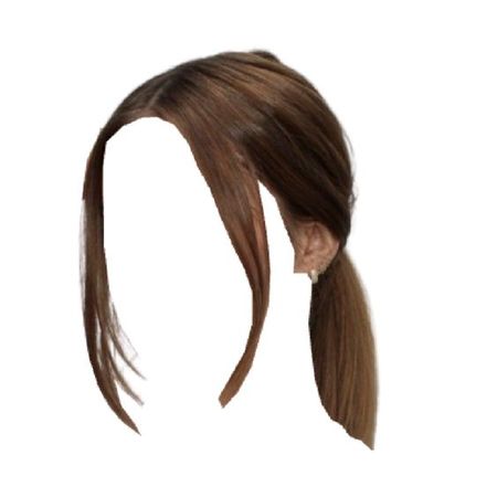 brown hair low ponytail