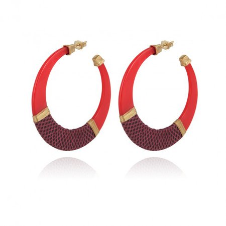 small red hoop earrings - Google Search