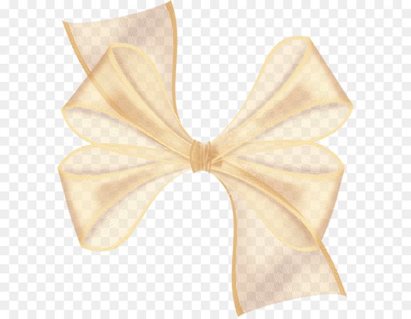 Ribbon Shoelace knot - Bow decoration png download - 747*800 - Free Transparent Bow Tie png Download.