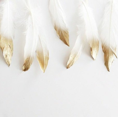 White and Gold Feathers