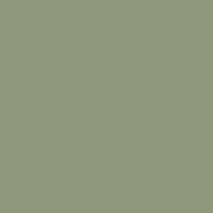 forest green background