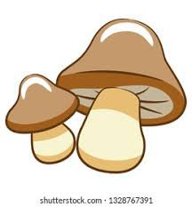 clip art mushroom - Google Search