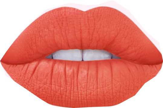 orange lipkit
