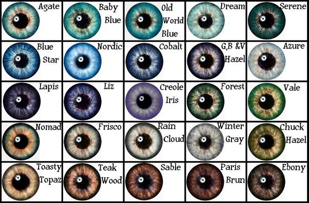 eye colours