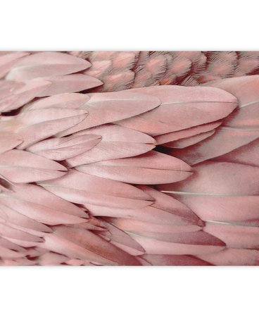 Pastel Feathers as Gift Wrap by Monika Strigel | JUNIQE