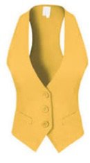 yellow tuxedo vest