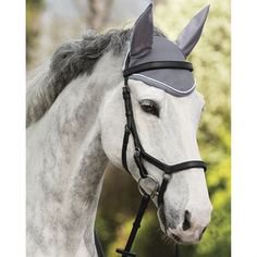English Horse Tack - Dover Equestrian