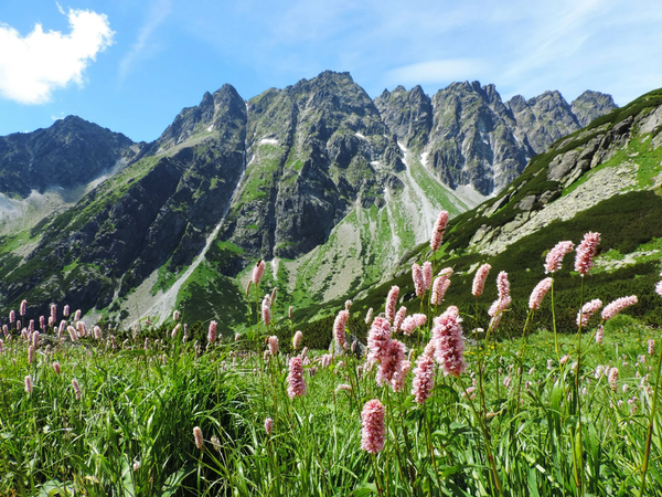Slovakia mountains meadows lakes outdoors nature travel background