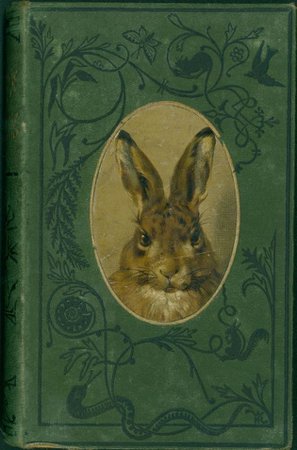 rabbit book