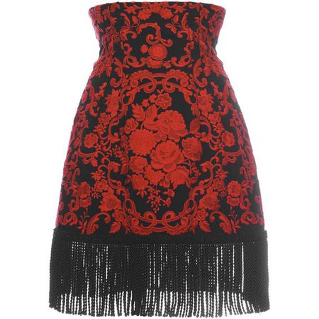 Dolce & Gabbana Embroidered Cady Mini Skirt With Fringe Trim