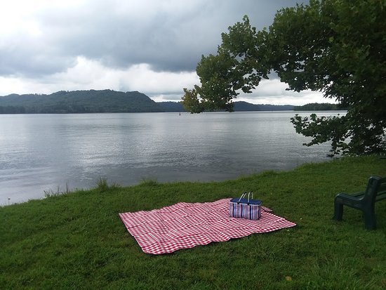 picnic by the lake - Google Search