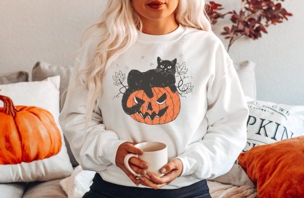 Black Cat on Pumpkin Sweatshirt and Hoodie - ootheday.